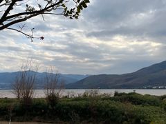 -西昌邛海湿地