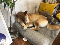 -About Bistro關於·泰式家庭料理