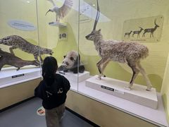 -国家自然博物馆