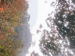-妙峰山风景名胜区
