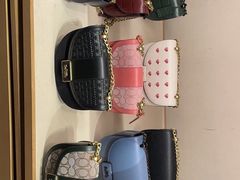 -COACH蔻驰(恒隆广场店)