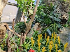 -北京植物园-展览温室