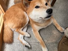 -三目仓咖啡(贤南路店)