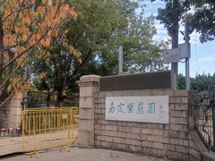 -嘉定紫藤园