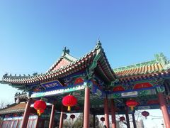 -莲花池公园