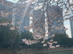 -红星桥(地铁站)