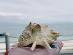 -三亚西岛海洋文化旅游区