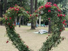 -人民公园(罗湖区)