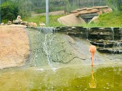 -沈阳森林动物园