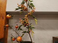 -七菜馆·东北菜·蒸饺(文体路店)