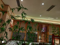 -大江户·温泉洗浴(浑南店)