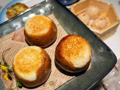 -陶陶居酒家(新天地店)