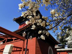 -北京艺术博物馆(万寿寺)