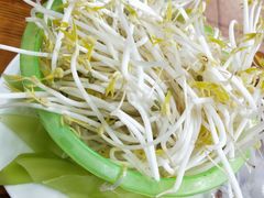 豆芽-张氏父子常德肠子馆(红星总店)