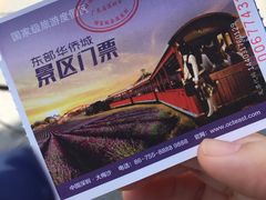 -东部华侨城