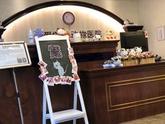 -宠爱国际动物医院·消化内科·心肾内科·ISFM猫友好(望京店)