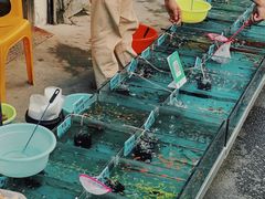 -清平路水族市场