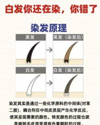 -5M HAIR SALON 旗舰店