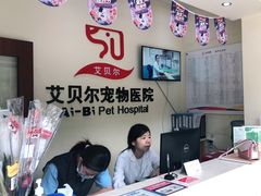 -艾贝尔宠物医院 ·内科全科(梁溪路店)