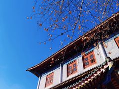 -西安大兴善寺