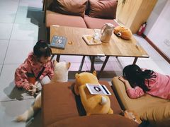 -柴务处·柴犬主题狗咖