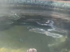 -明月山天沐温泉度假村