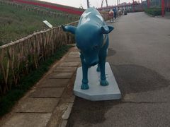 android_upload_pic-东部华侨城