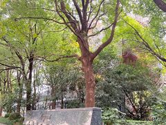 -皇朝尊会(龙之梦大酒店)