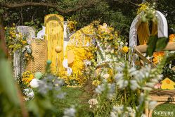 -Sunny喜铺婚礼策划(东部店)