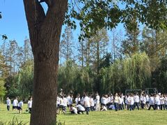 -前小桔亲子创意农场·草莓采摘·露营烧烤