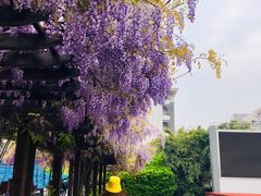 -上海海洋大学(临港校区)