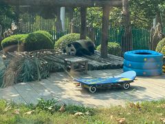 -大连森林动物园