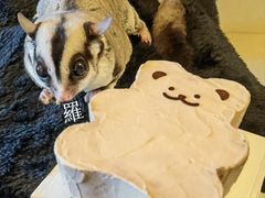 -好利来(龙旗广场永辉店)