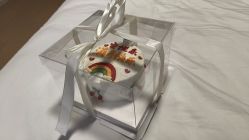 -安丽国际月子会所