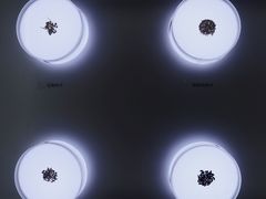 -阿里中心·杭州Z空间