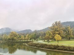 -千年银杏谷文化旅游区