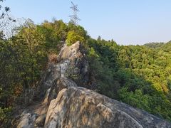 -南山植物园