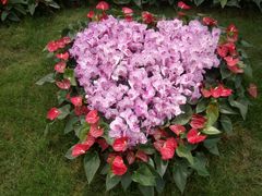 -兰陵国家农业公园