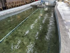 -光头佬室内钓虾场·烧烤·团建·亲子(中山八路店)