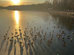 -早阳鲜包(云景里店)