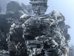 -陈大锅·岳阳鱼馆·地道岳阳菜(美食街店)