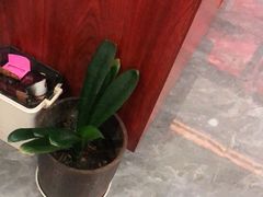 -张钰强中医正骨推拿连锁(唐家人才公寓店)