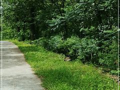 -云岫谷游猎自然风景区