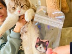 -平行世界·猫咖(首经贸店)