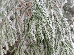 -南岳衡山风景名胜区-南岳大庙