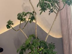 -熙耳·采耳头疗SPA养生馆