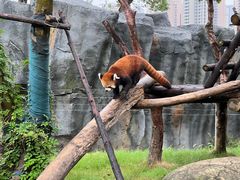 -武汉动物园