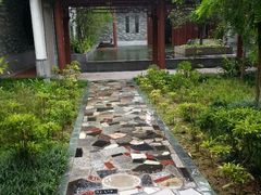 android_upload_pic-广州神农草堂中医药博物馆