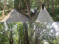 -同里国家湿地公园