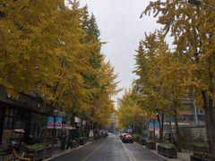 -奎星楼街